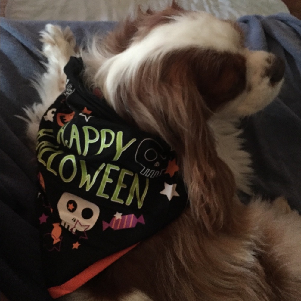 Meet your Posher, Nadine